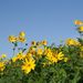 20070908_yamaguchitrip_014